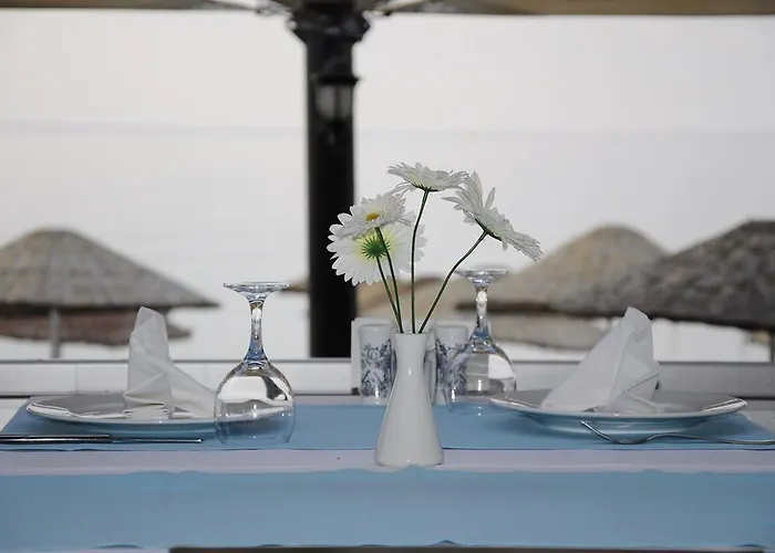 Ronax 布尤切克梅奇