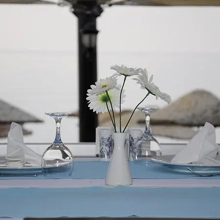 Ronax 뷰유크체크메스