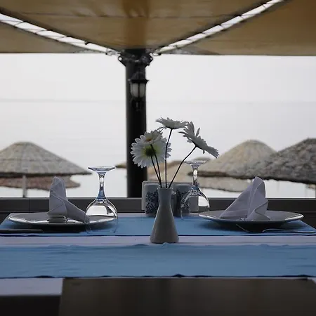 Ronax 뷰유크체크메스